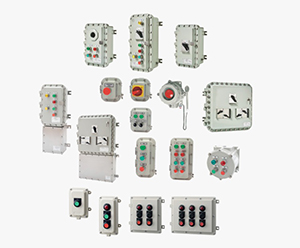 Transmission &
Distribution Sector