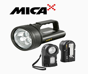 Transmission &
Distribution Sector